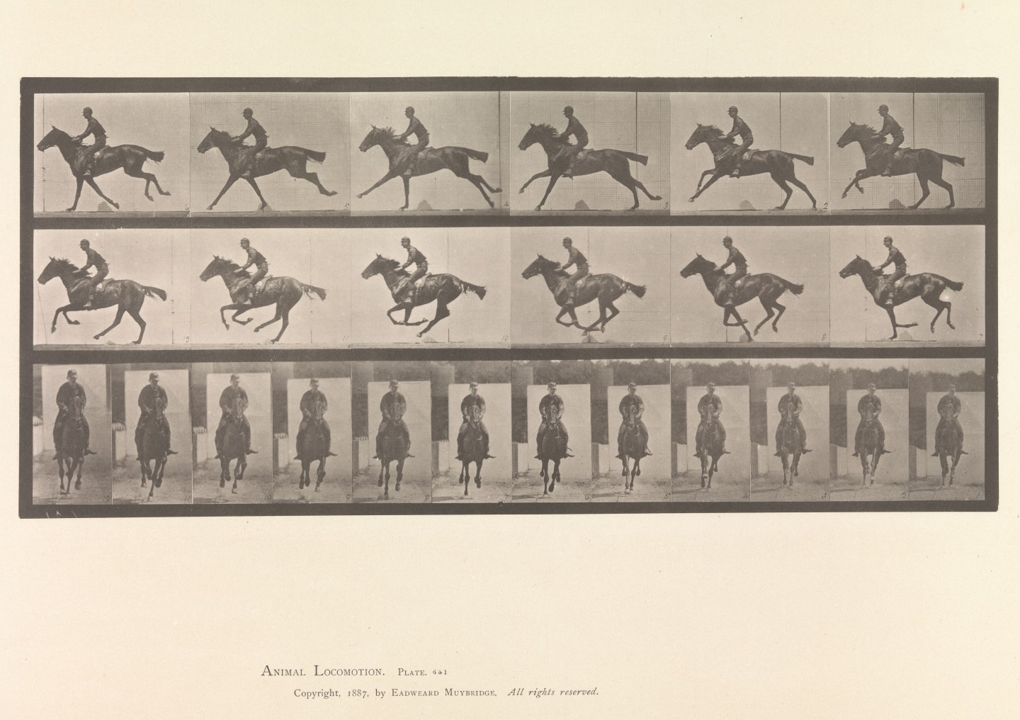Horse and Rider Galloping. 1883–86, printed 1887.