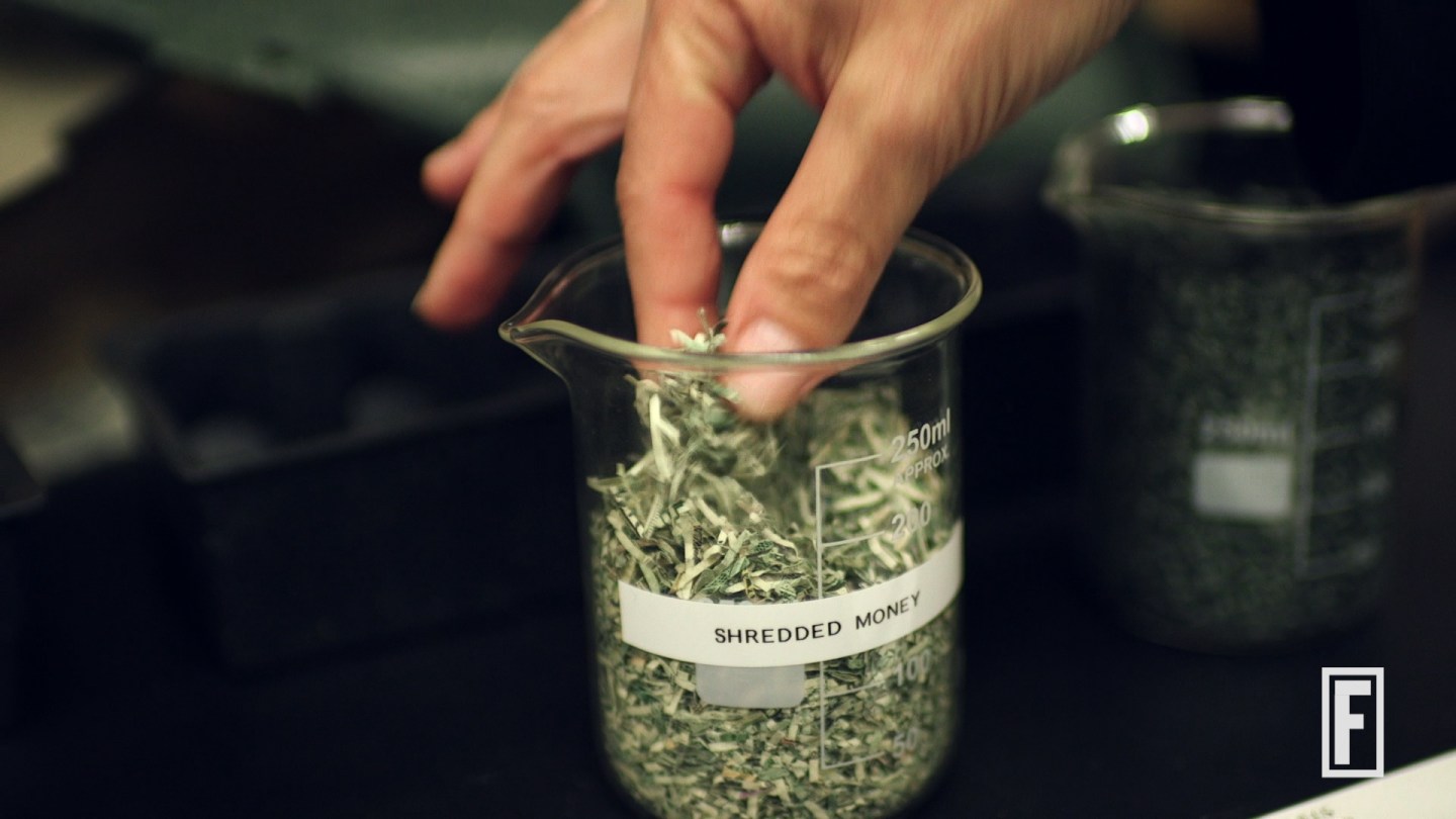 Why Ford Makes Car Parts Out of Tomatoes and Shredded Cash