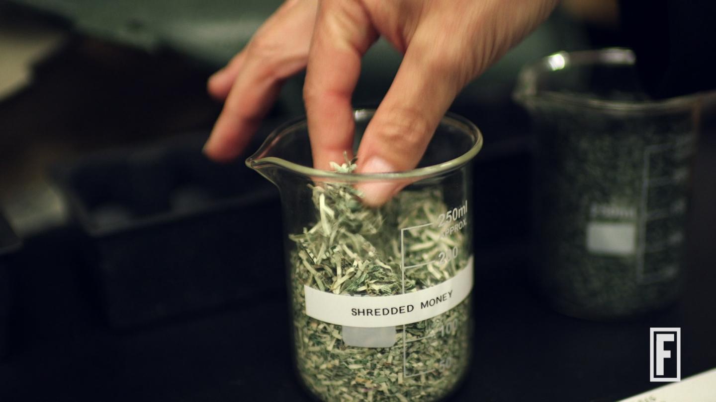 Why Ford Makes Car Parts Out of Tomatoes and Shredded Cash