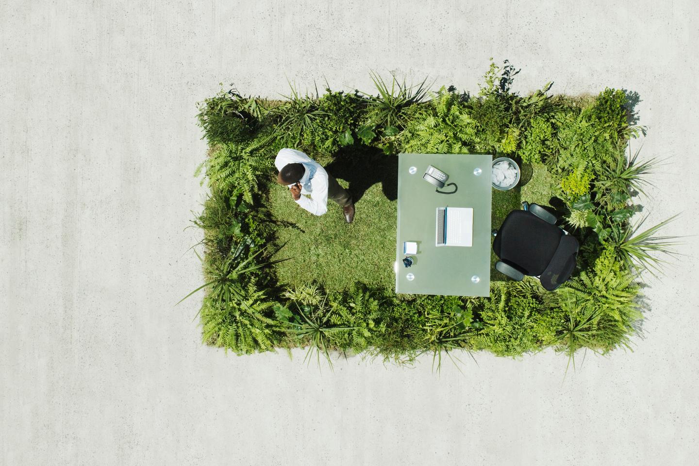 Businessman and desk on lush lawn in cement courtyard