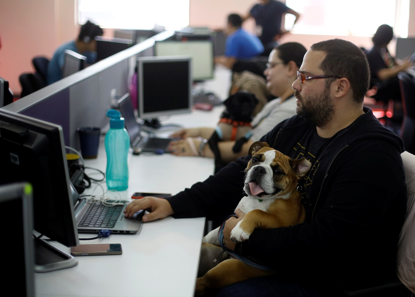 An employee of global professional services company Accenture works next to his dog, during a day the company offers to their employees to work accompanied by their pets in Heredia