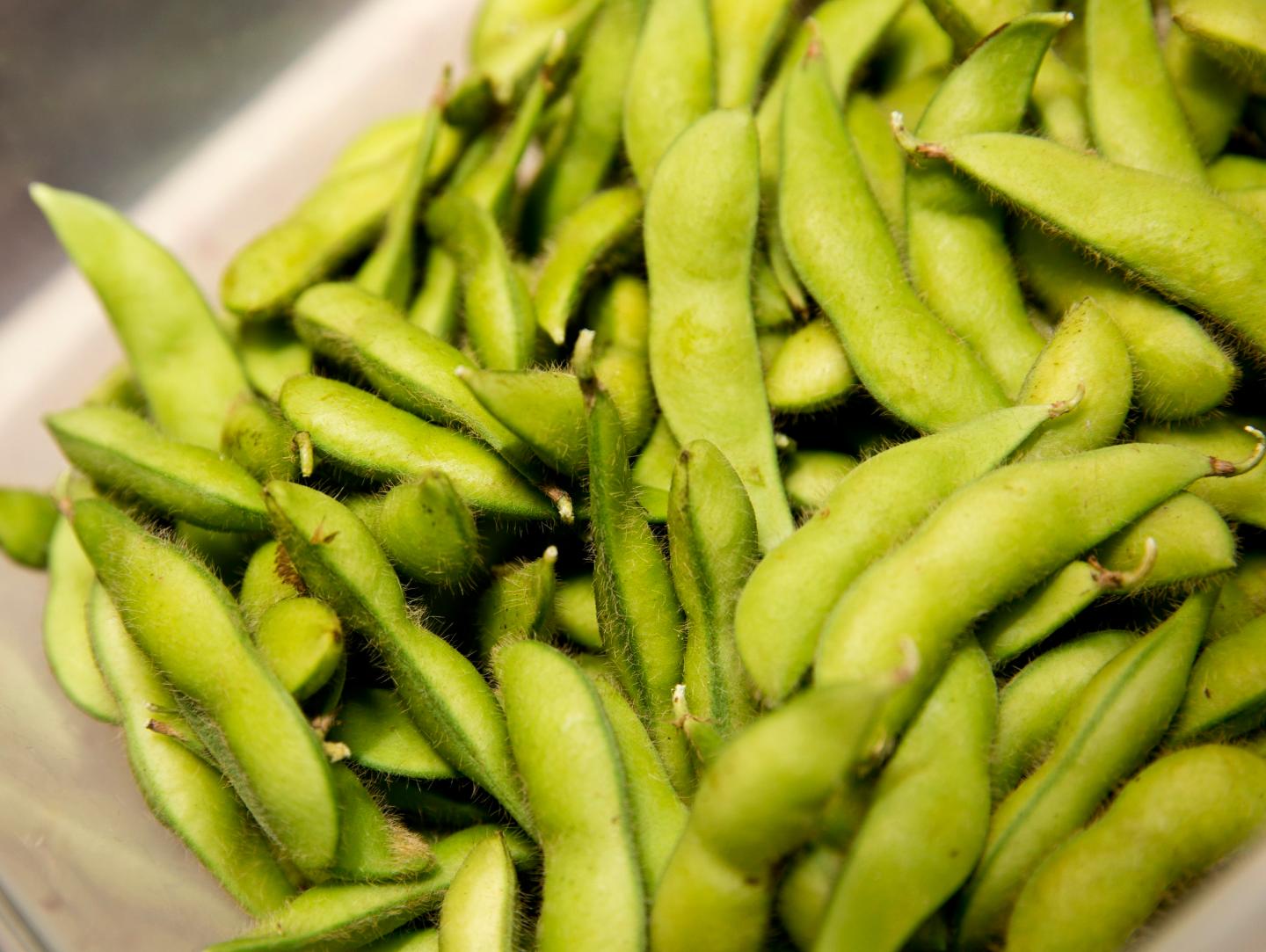 Ontario Farmed Edamame
