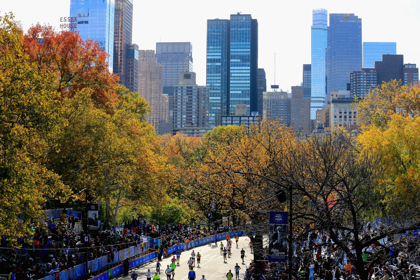 2014 TCS New York City Marathon