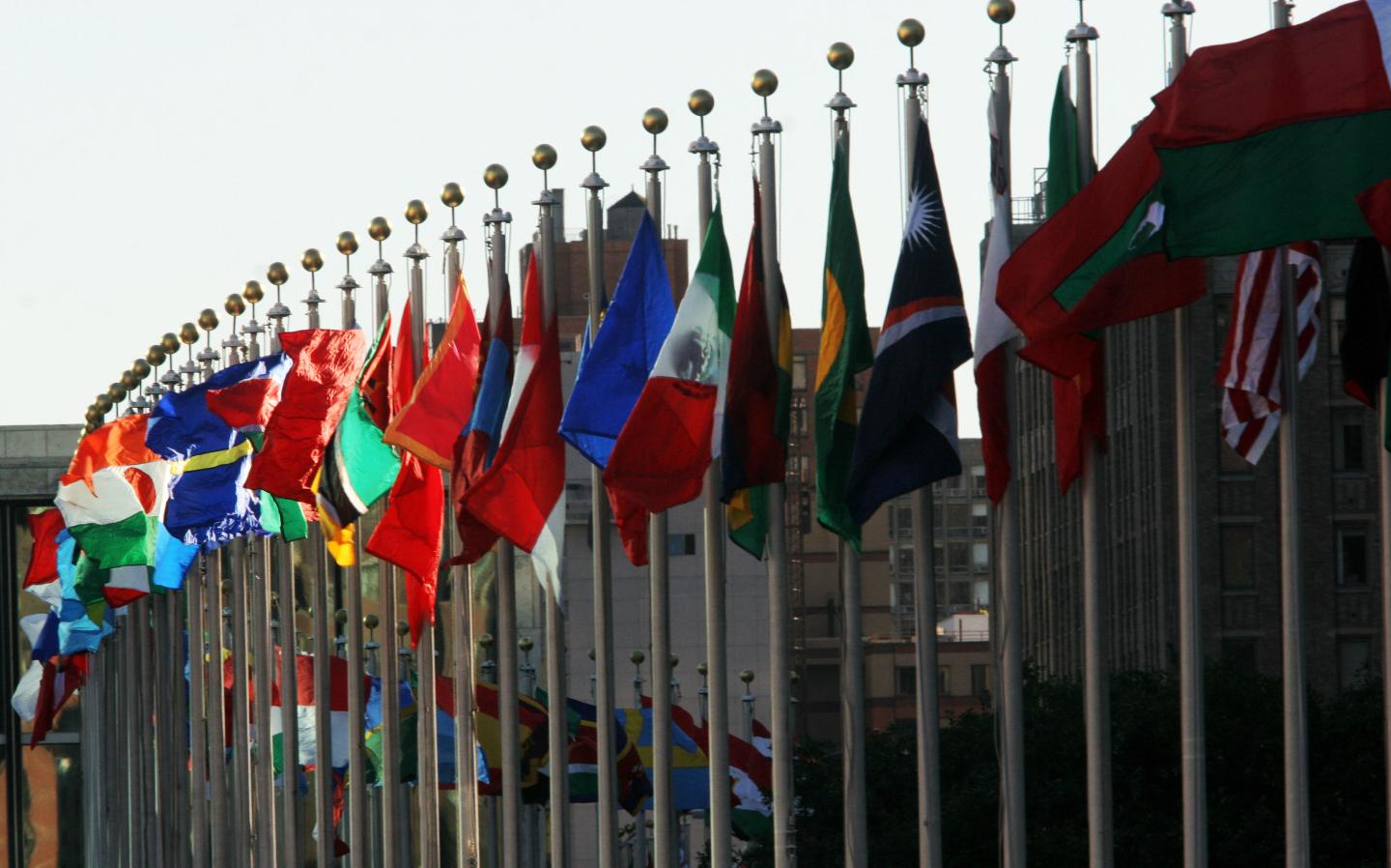 Flags flutter in the wind outside United