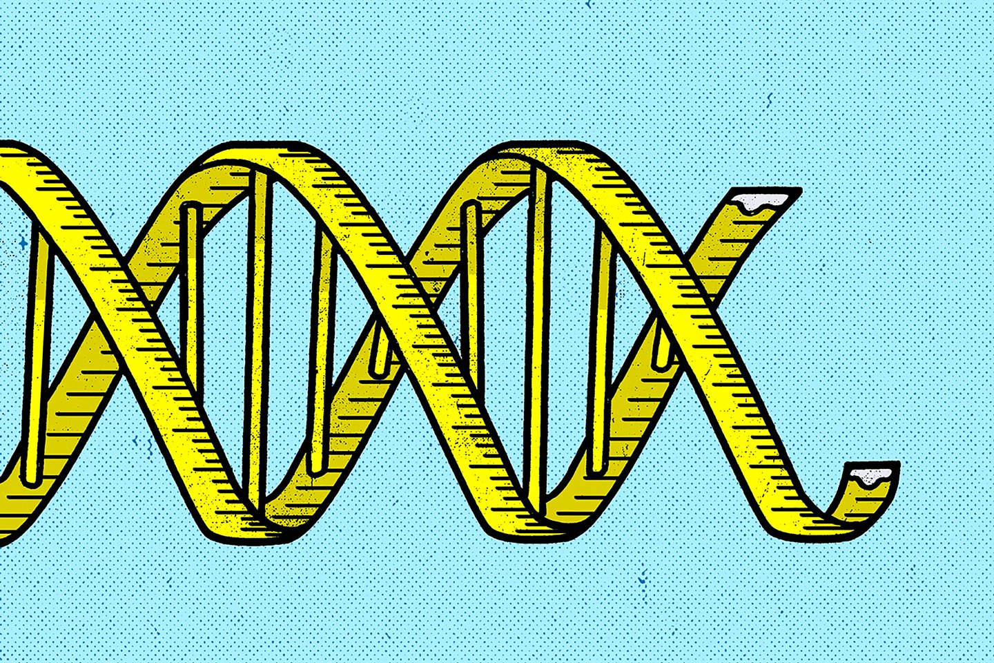 This Health Startup Plans to Challenge the Multibillion-Dollar Diet Industry
