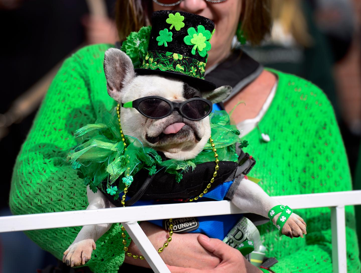 The 2016 Denver St. Patrick's Day Parade takes place in downtown Denver.