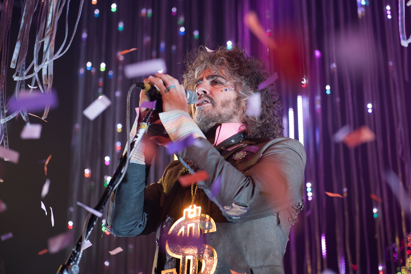 The Flaming Lips In Concert - Westbury, New York