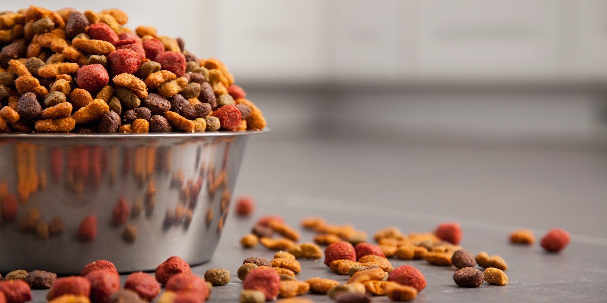 Party Animal Dog Food Recalled After Euthanasia Drug Contamination Fortune