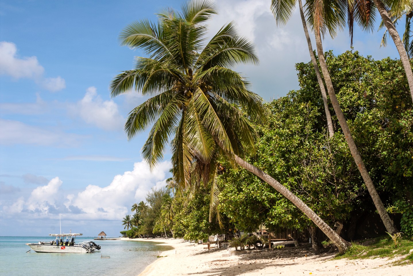 Scenic beach at the international tourist destination,