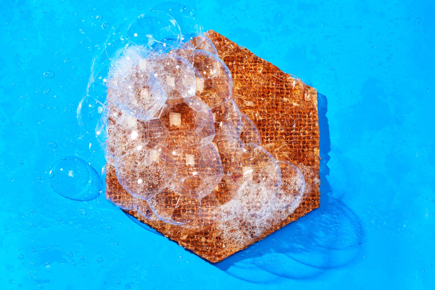 Tidal Vision’s “Tidal Scrub” sponge is antimicrobial, biodegradable, and made from a material extracted from discarded crab shells.