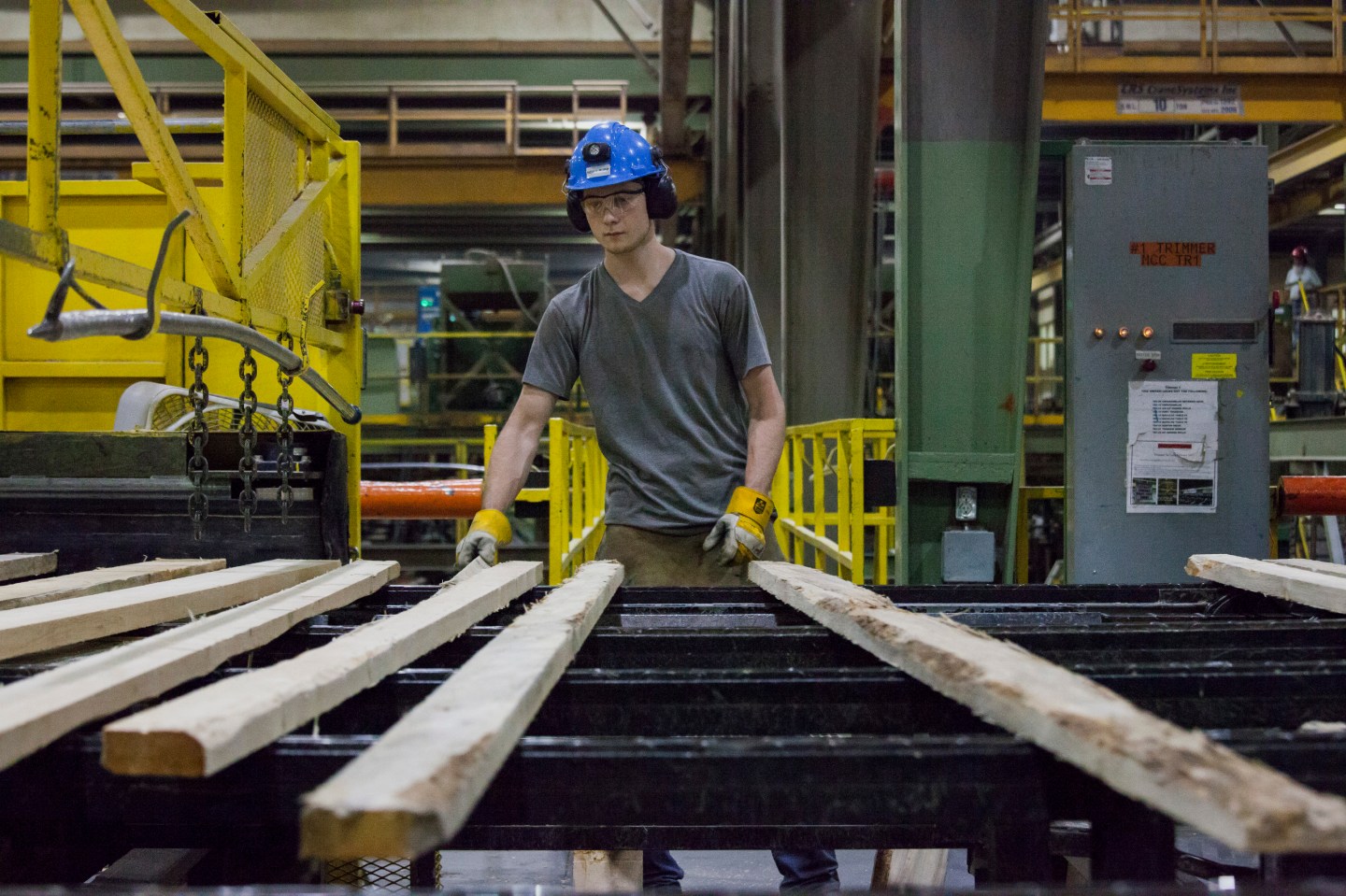 Beetle Plague Spurs Canadians On U.S. Lumber-Mill Buying Spree