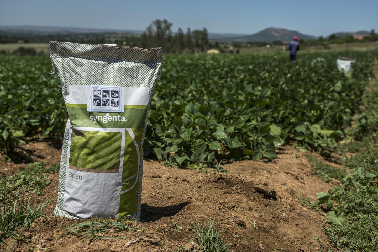 Syngenta AG Crops And Seeds Following China National Chemical Corp. $43 Billion Takeover