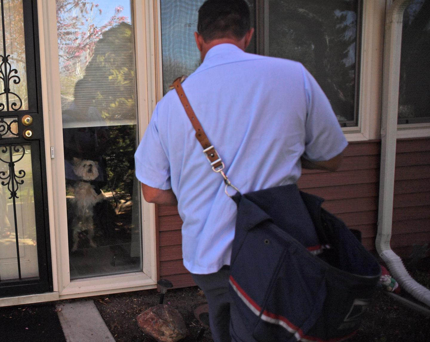 Letter carriers and dogs