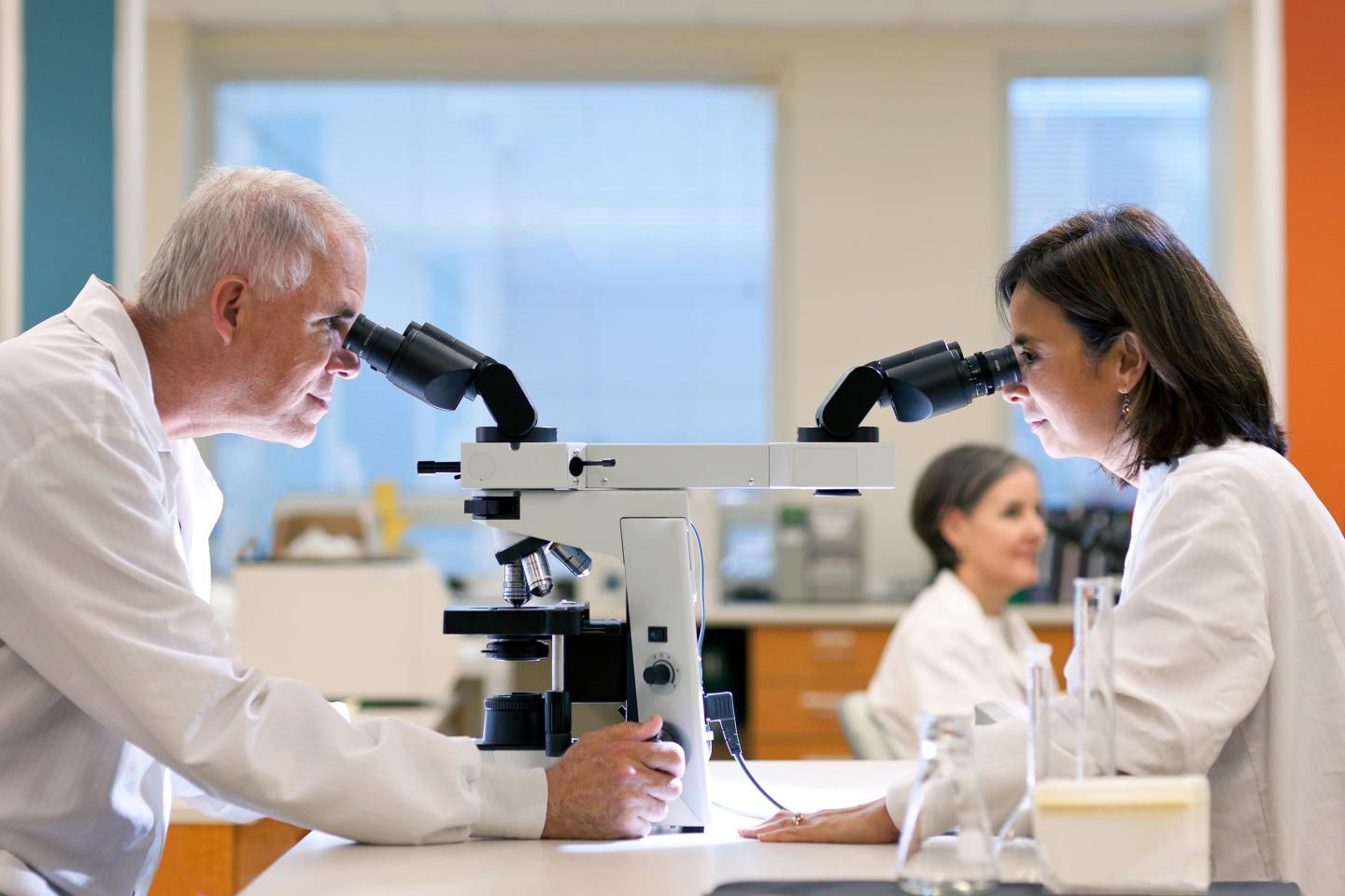 These Drug Companies Are Best Positioned to Fight a ‘Superbug’