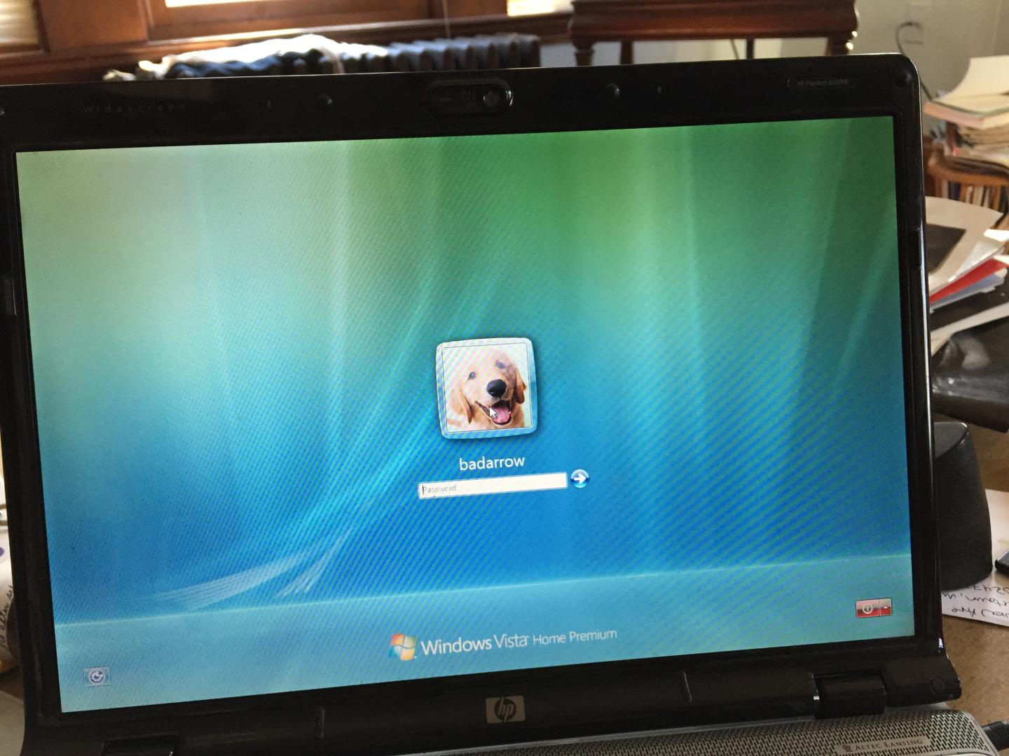 Yes, Some Businesses Still Run Microsoft’s Much-Maligned Windows Vista