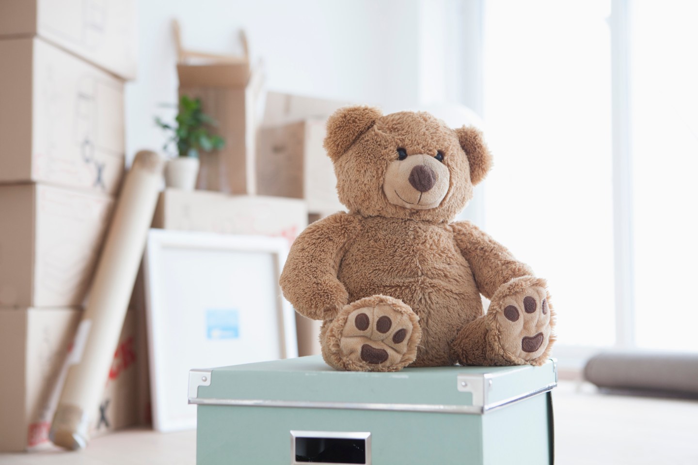 Teddy bear sitting on box in front of piled cardboard boxes