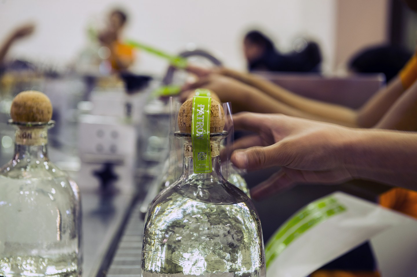 Operations At The Patron Spirits Co. Agave Farm & Tequila Distillery