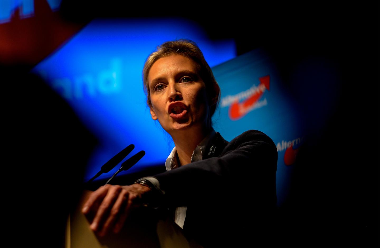 Alternative for Germany Party Holds Federal Congress