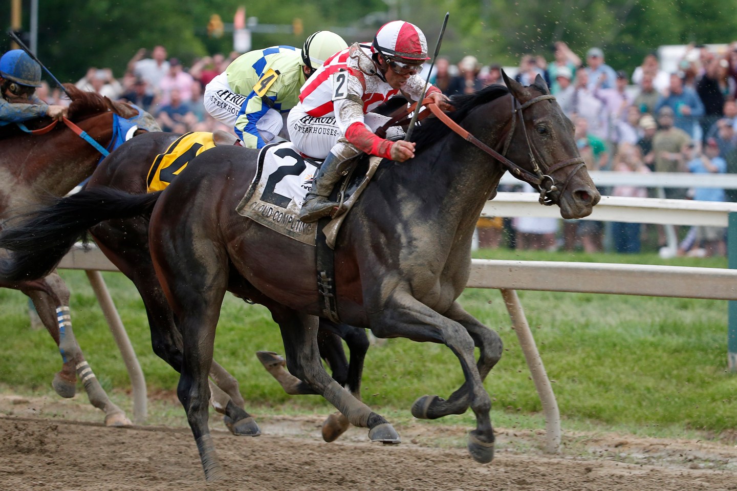 Horse Racing: 142nd Preakness Stakes