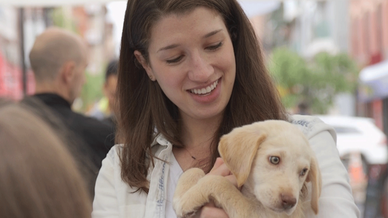 How This Entrepreneur Turned Her Love of Dogs Into a Business