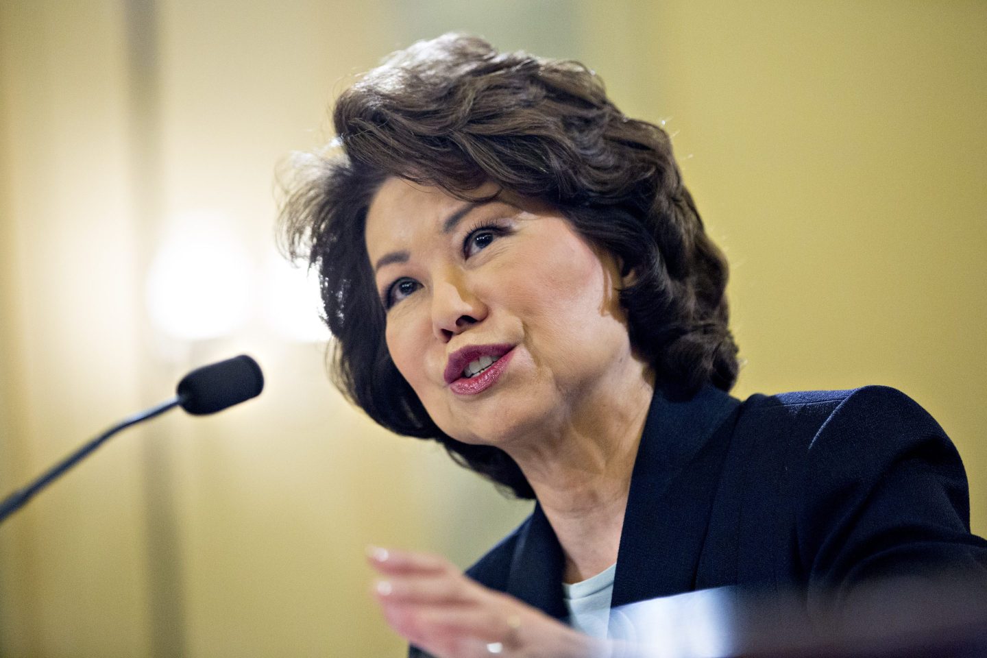 Department Of Transportation Secretary Elaine Chao Testifies Before Senate Commerce Committee