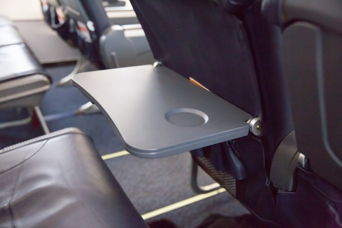 Airplane seat food tray table