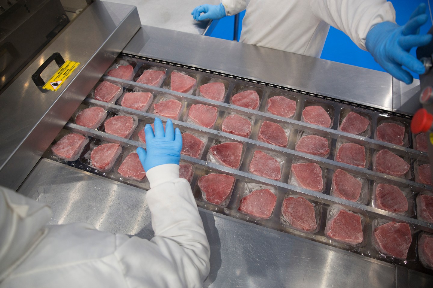 Tuna Processing At The Grupo Pinsa SA Plant As U.S. Awaits WTO Ruling On Mexico Exports