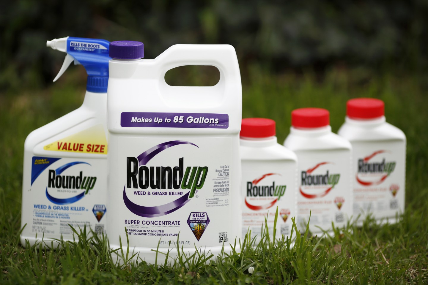 Monsanto Co. Products Ahead of Earnings Figures