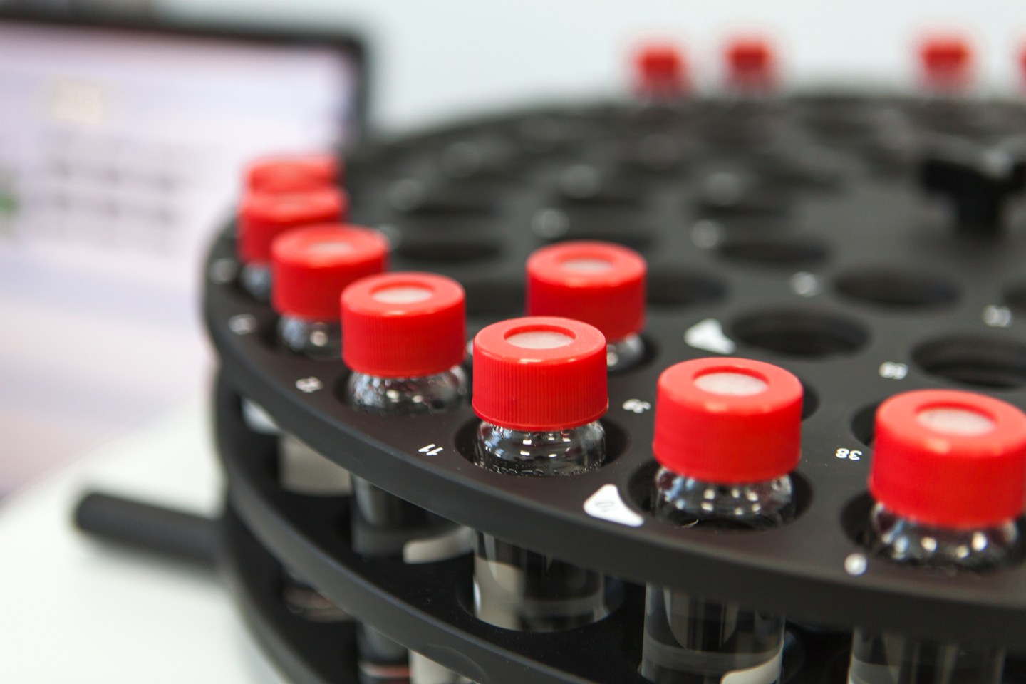 Blood test tubes. Samples in a rack.