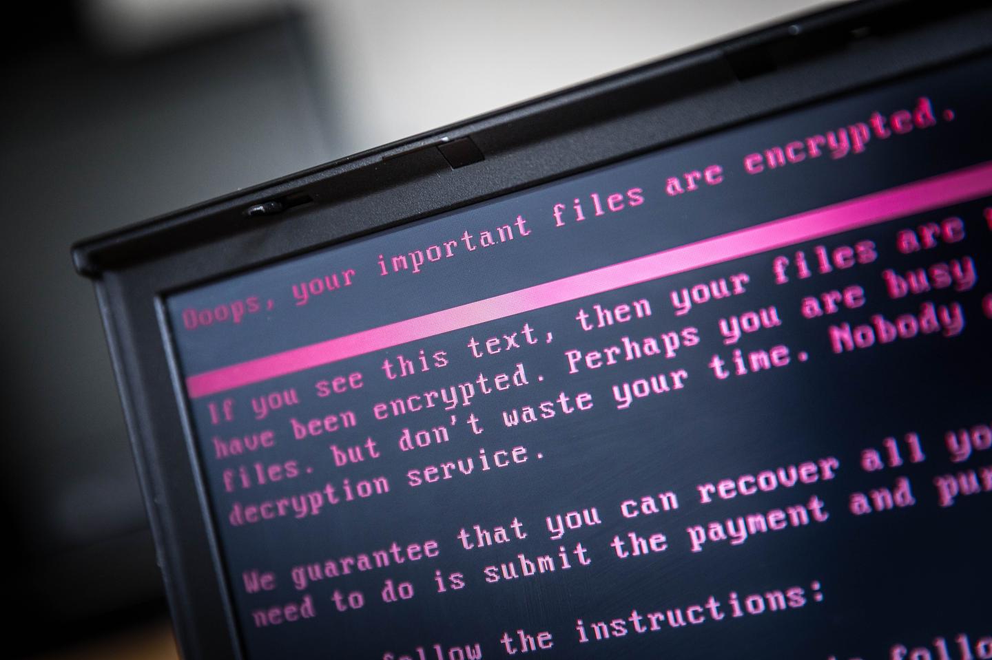 What Bitcoiners Are Doing to Fight Ransomware