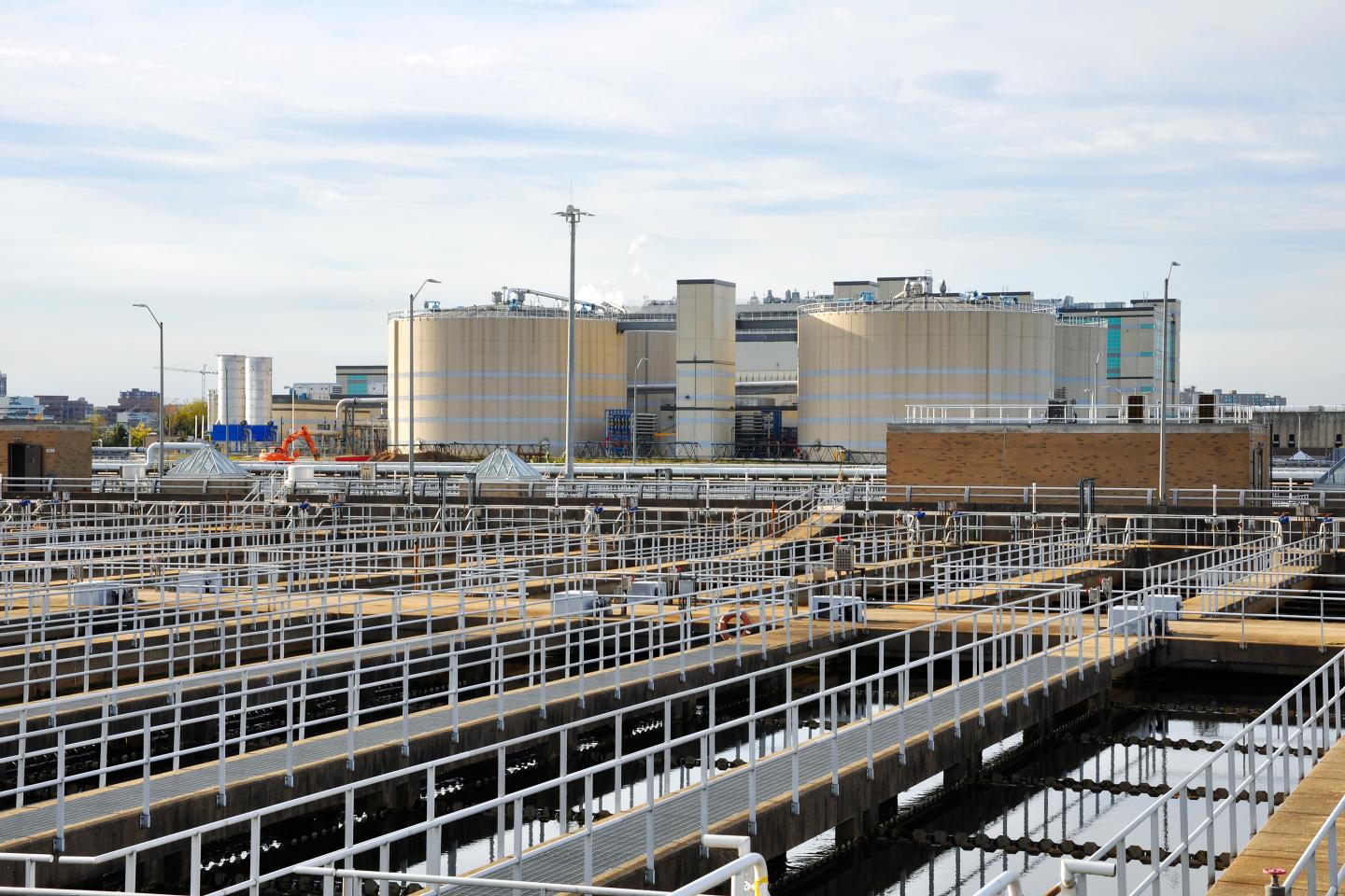Turning Waste Into Gold