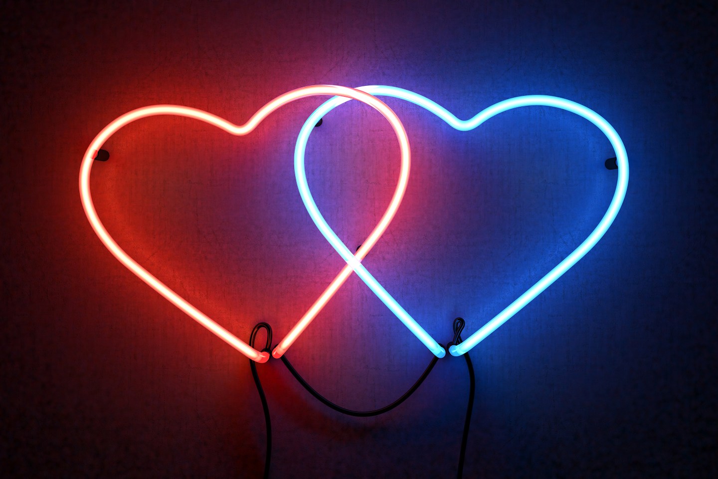 two bound heart shaped neons