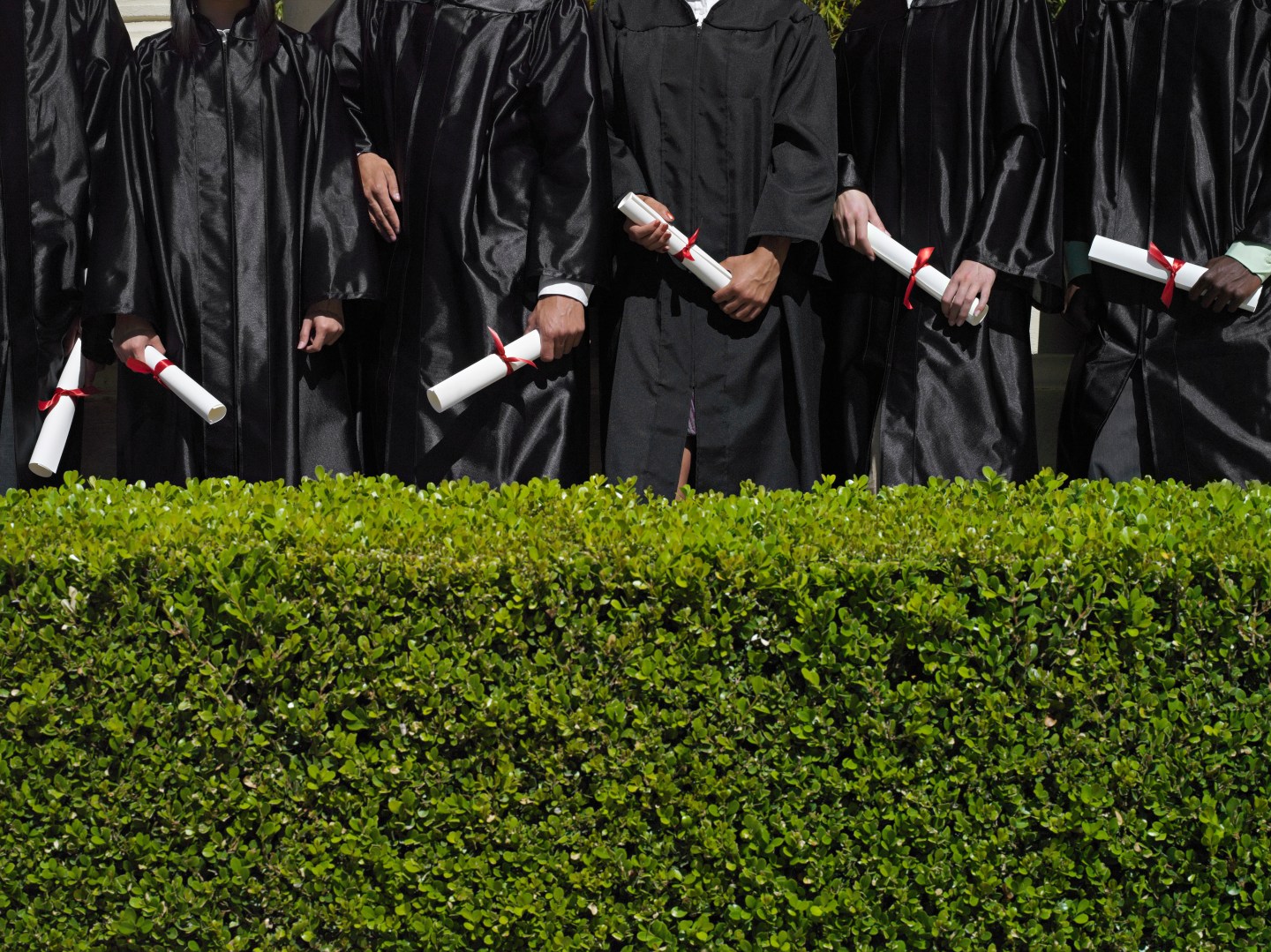 Row of university students in graduation gowns holding diplomas, mid-section, hedge in foreground
