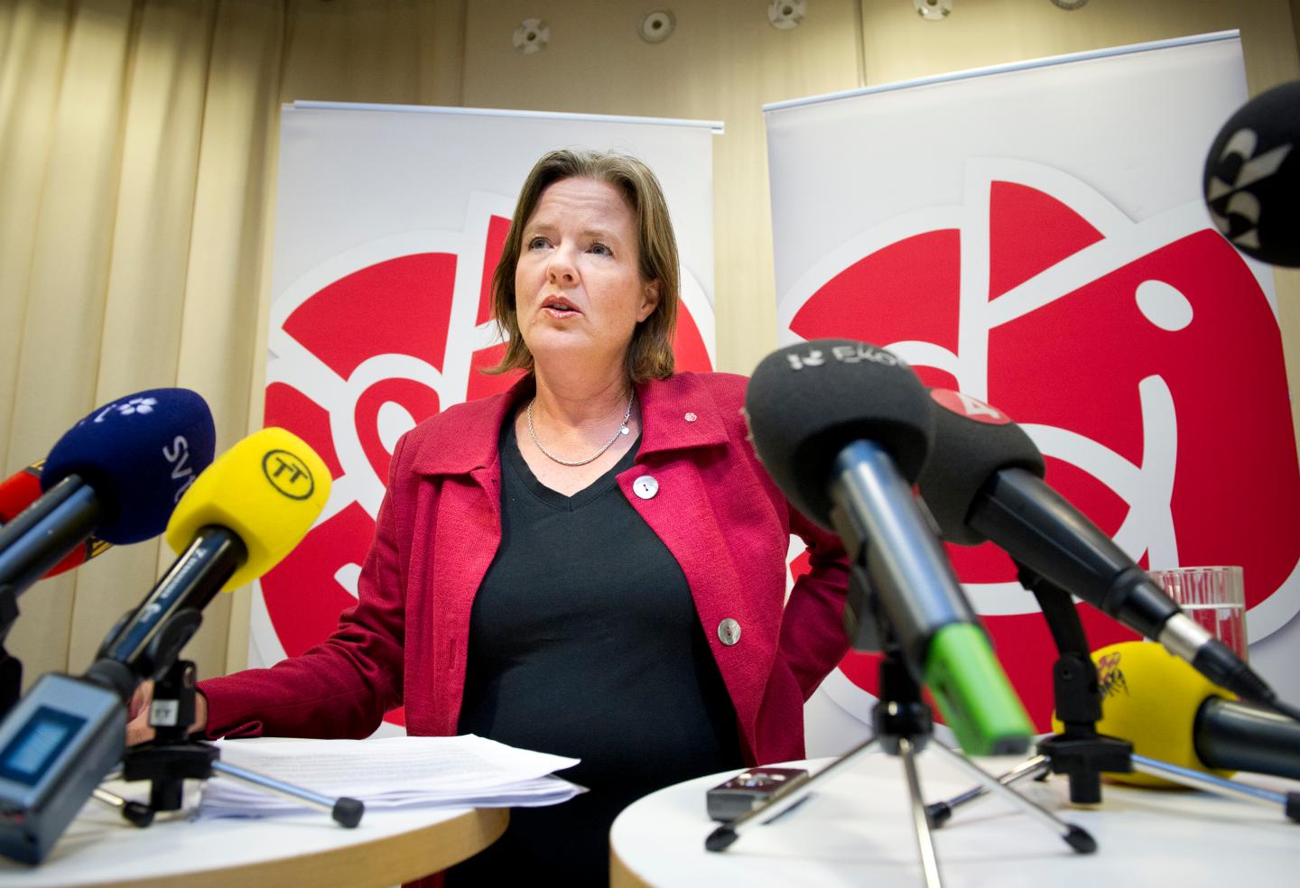 SWEDEN-POLITICS