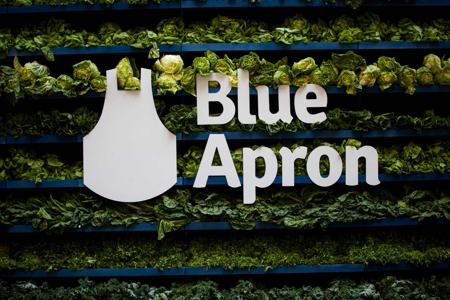 Blue Apron Climbs In Trading Debut After Slashing IPO Price
