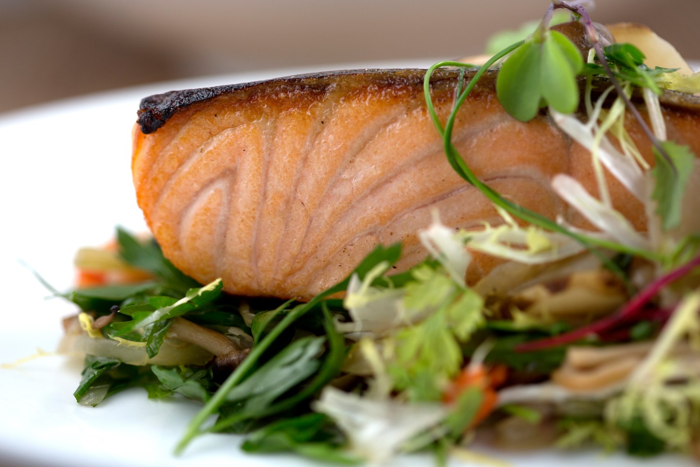 Scottish salmon on a bed of greens.