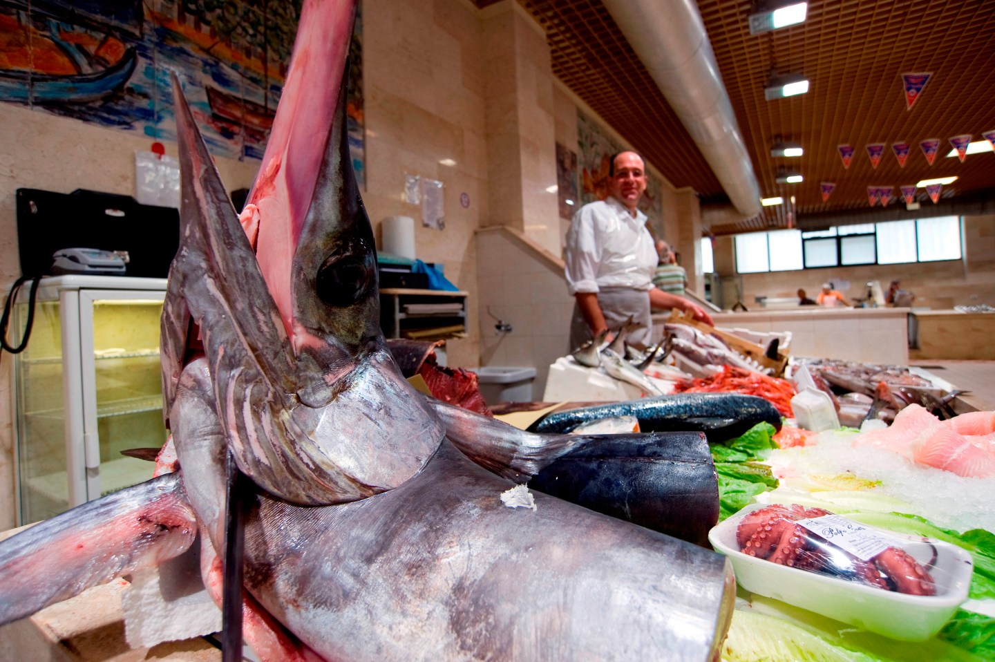 Mercato San Benedetto. Cagliari. Sardinia. Italy