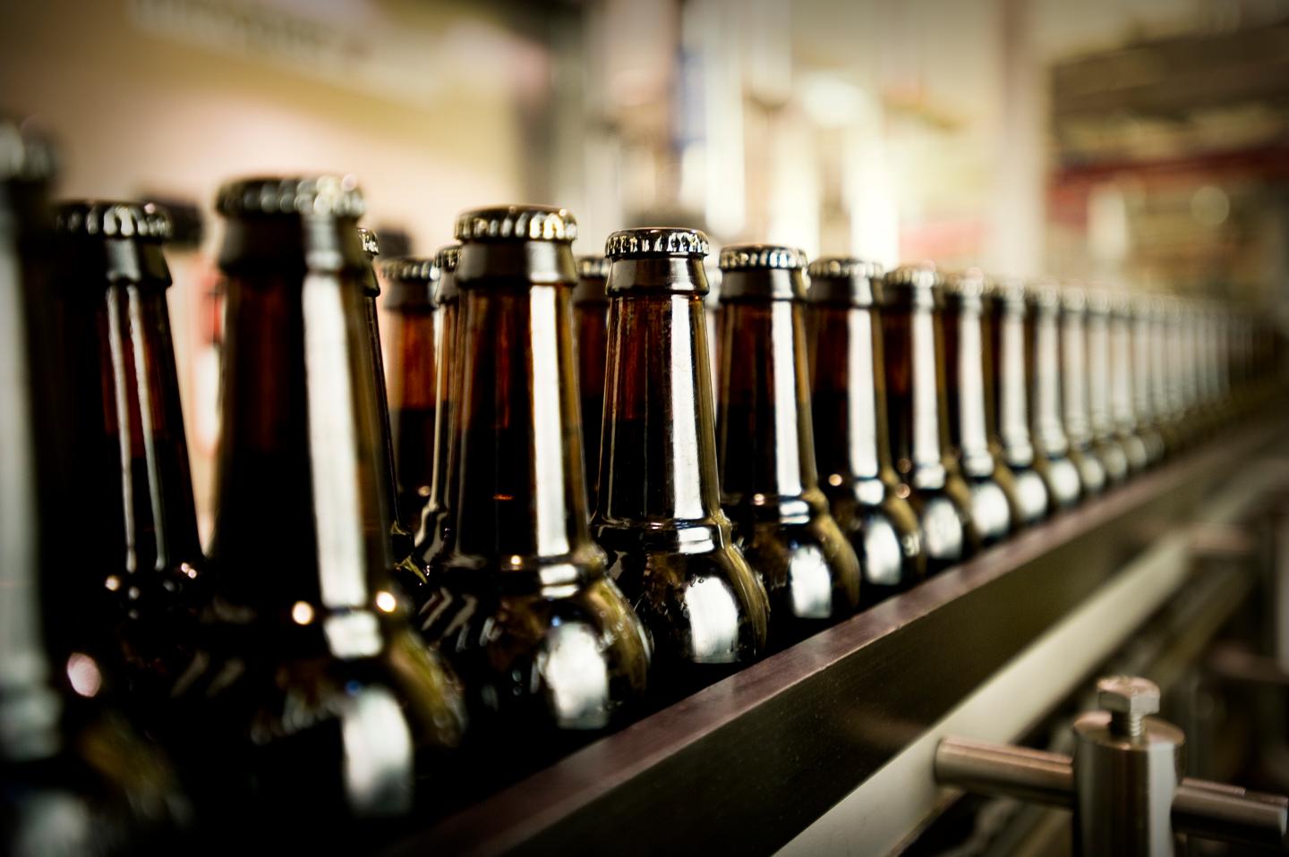Capped beer bottles in the filling room