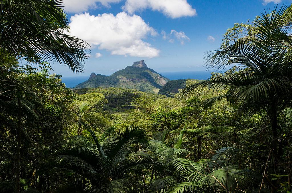 Pedra da Gavea mountain seen from The Tijuca Forest (