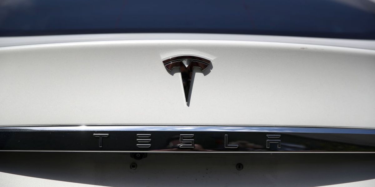 Electric Cars: Vladimir Iorich’s Pala Investing in Metals | Fortune