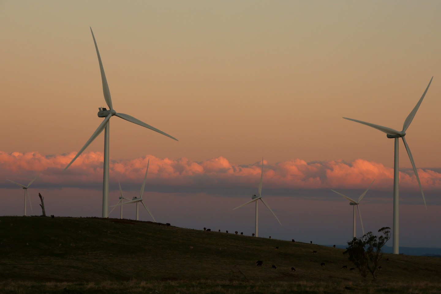 General Views Of Taralga Wind Farm
