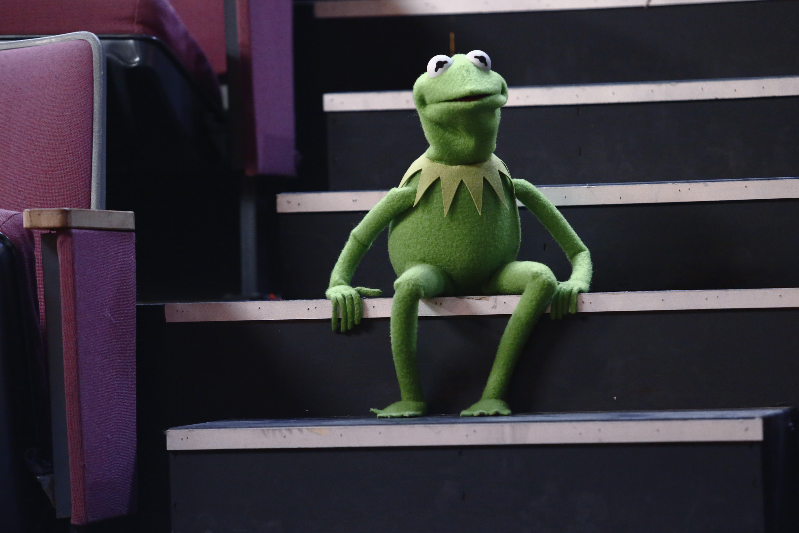 KERMIT THE FROG FLASHCARDS PHONICSカーミット KERMIT THE FROG FLASHCARDS PHONICSカーミット