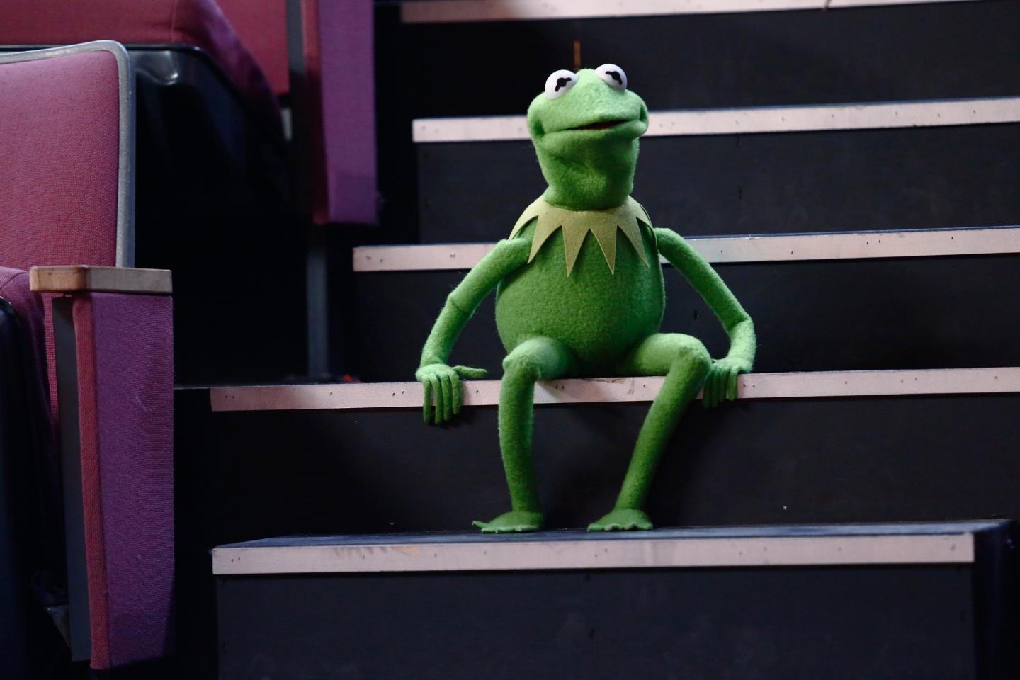 170830-kermit