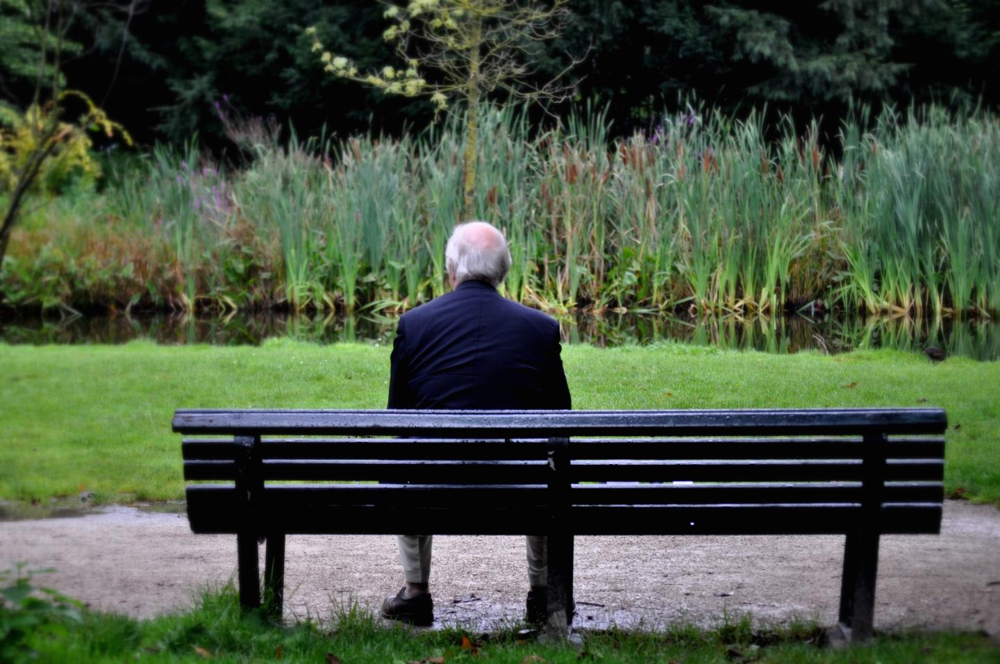 Senior man sitting on bench in garden