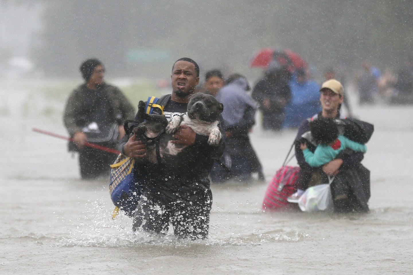 Isiah Courtney carries his dog Bruce through flood waters from Tropical Storm Harvey in Beaumont Place