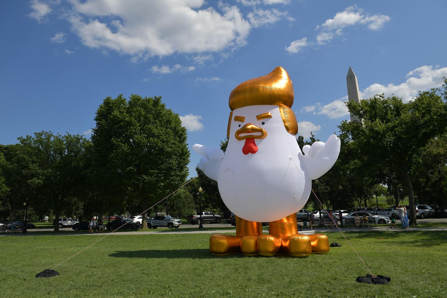 US-POLITICS-OFFBEAT