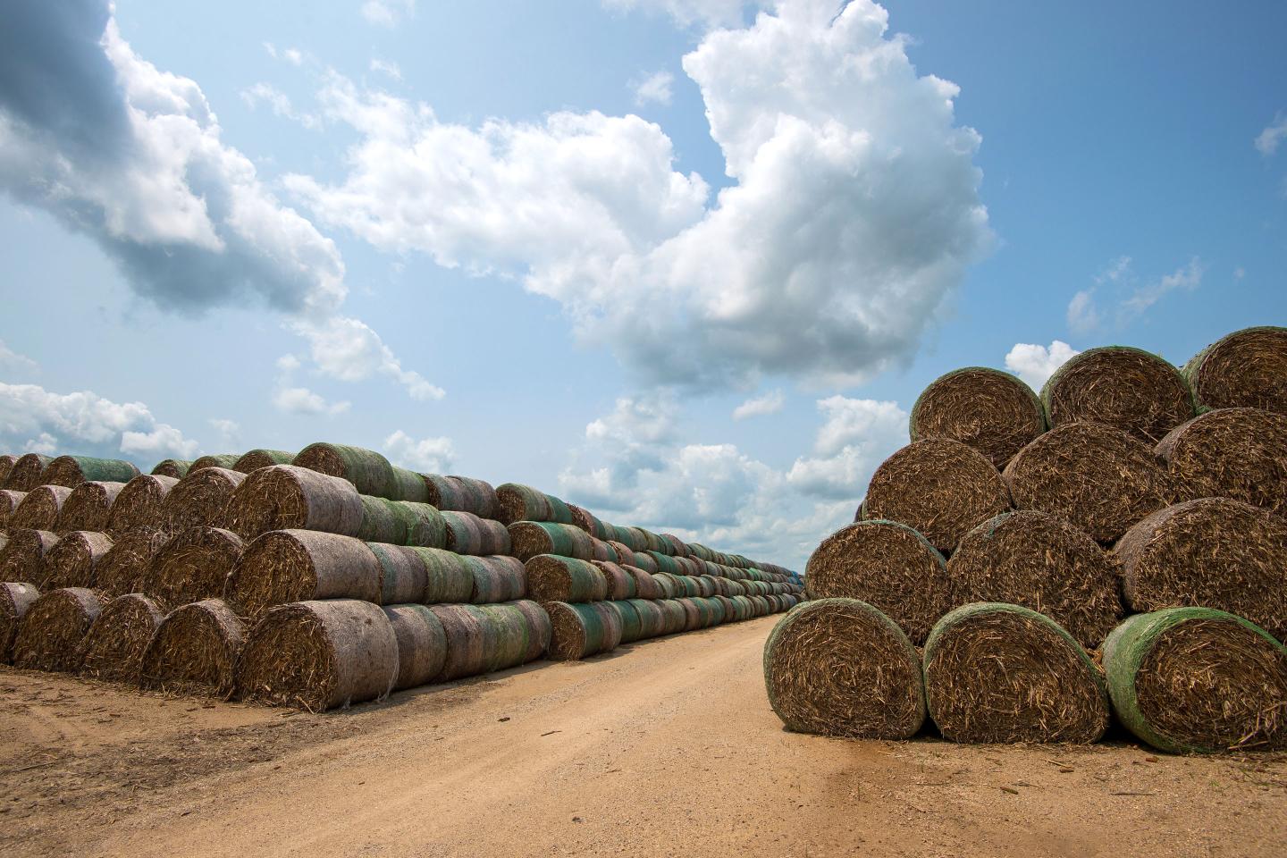 This Former Chemical Company Went ‘Green’—and Its Stock Took Off