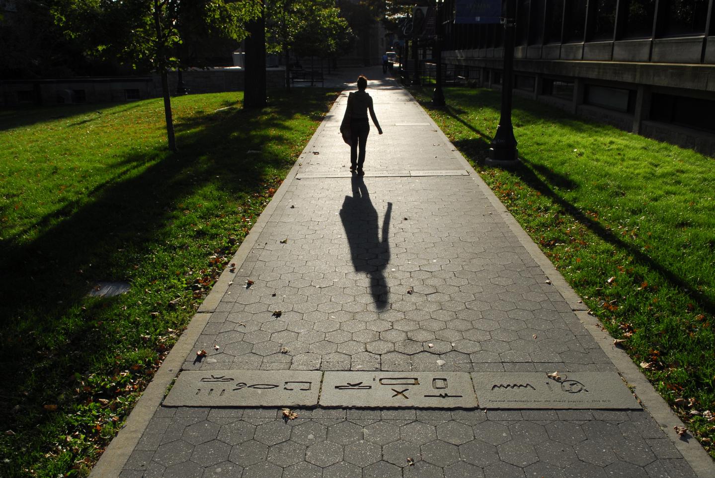 Lehman College Campus