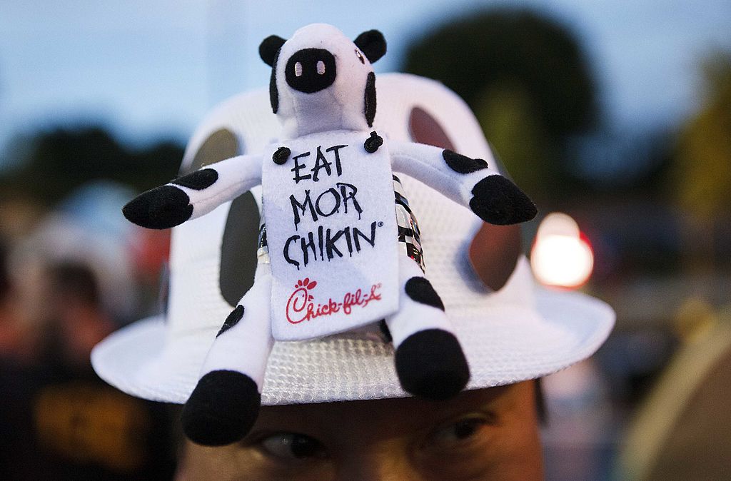 A man wears a cow-printed hat with a Chick-fil-A cow holding an "Eat Mor Chikin" sign