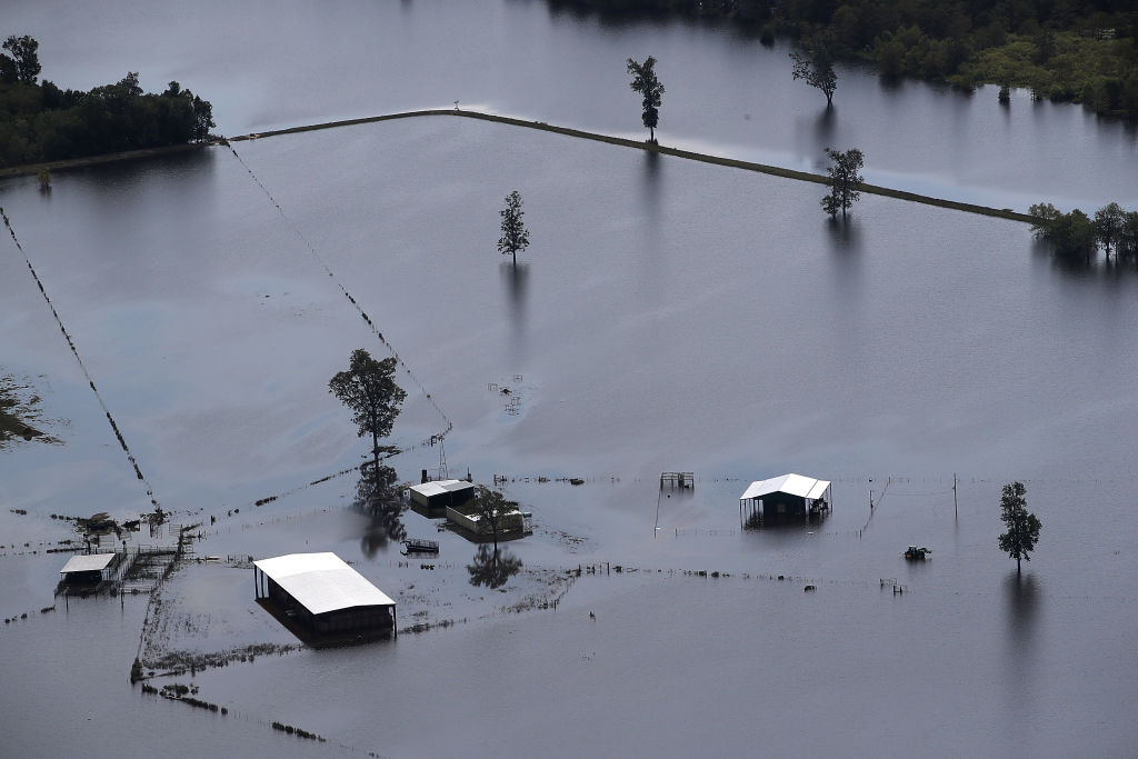 Air National Guard Distributes Food For Texas Livestock Stranded By Harvey